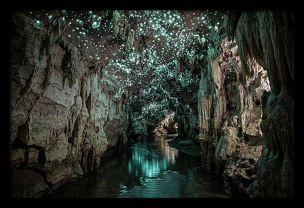 Mystical Glowworm Cave Experience