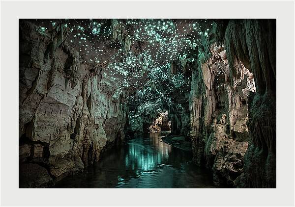 Mystical Glowworm Cave Experience