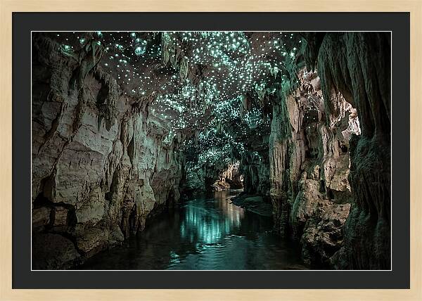 Mystical Glowworm Cave Experience