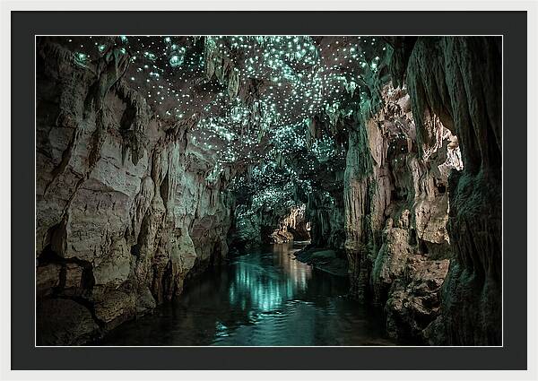 Mystical Glowworm Cave Experience
