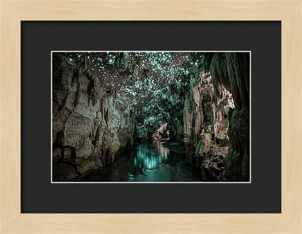 Mystical Glowworm Cave Experience