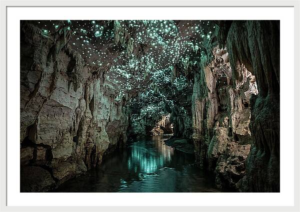 Mystical Glowworm Cave Experience