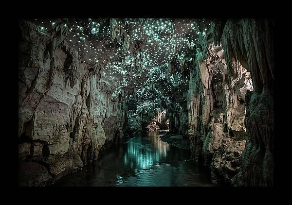 Mystical Glowworm Cave Experience