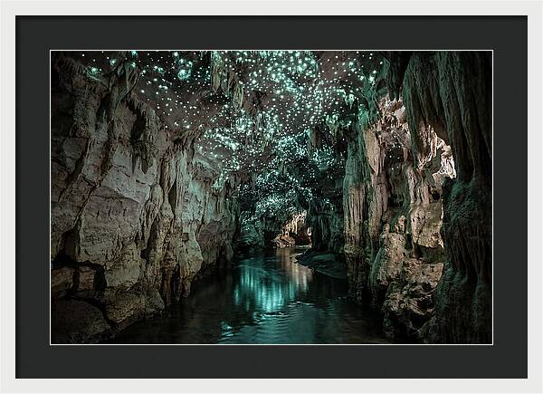 Mystical Glowworm Cave Experience