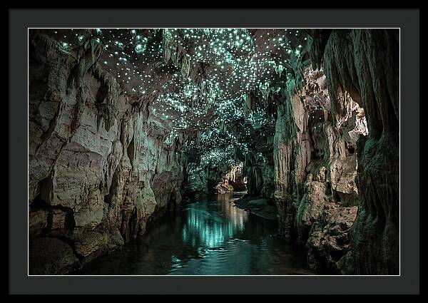 Mystical Glowworm Cave Experience