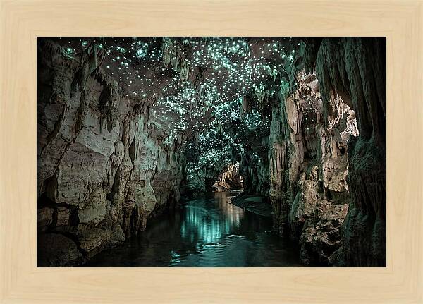 Mystical Glowworm Cave Experience