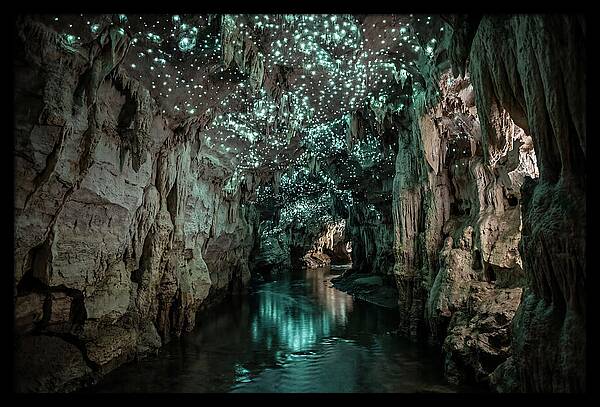 Mystical Glowworm Cave Experience