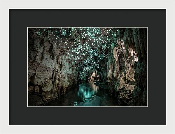 Mystical Glowworm Cave Experience