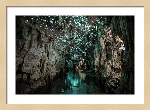 Mystical Glowworm Cave Experience