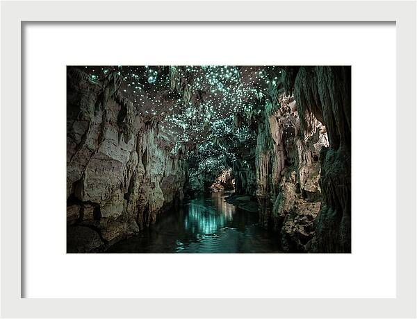 Mystical Glowworm Cave Experience