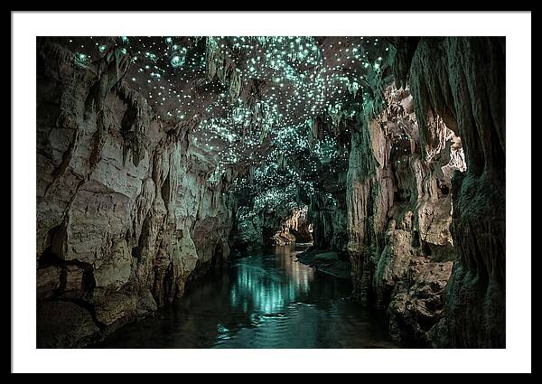 Mystical Glowworm Cave Experience