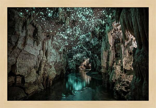 Mystical Glowworm Cave Experience