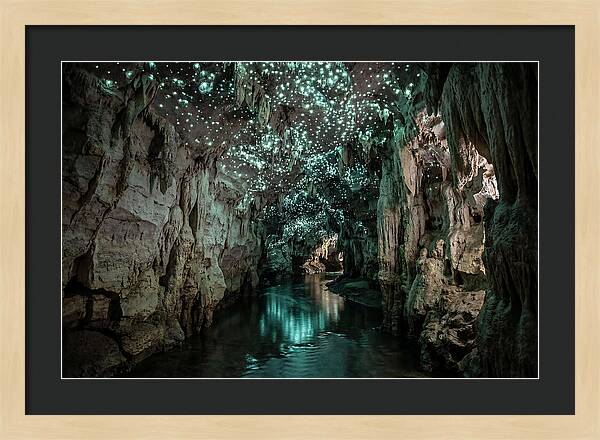Mystical Glowworm Cave Experience
