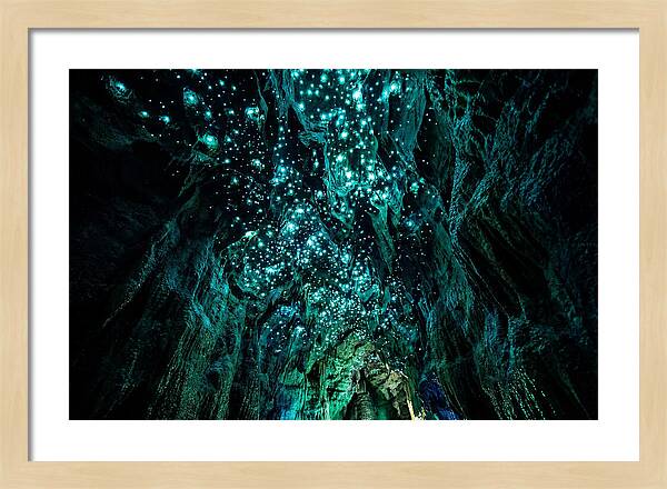 Mystical Glowworm Cave Journey