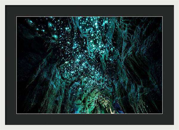 Mystical Glowworm Cave Journey