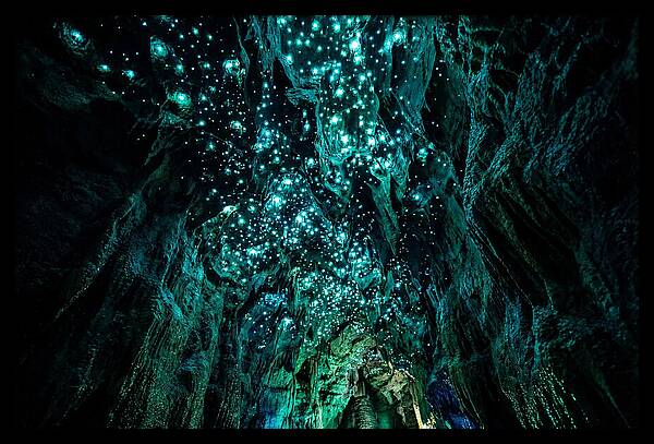 Mystical Glowworm Cave Journey