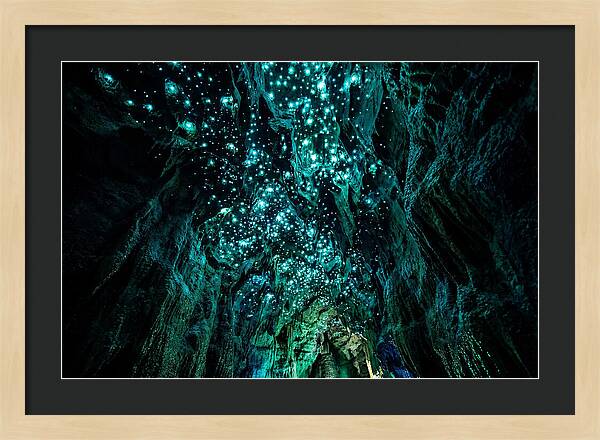 Mystical Glowworm Cave Journey
