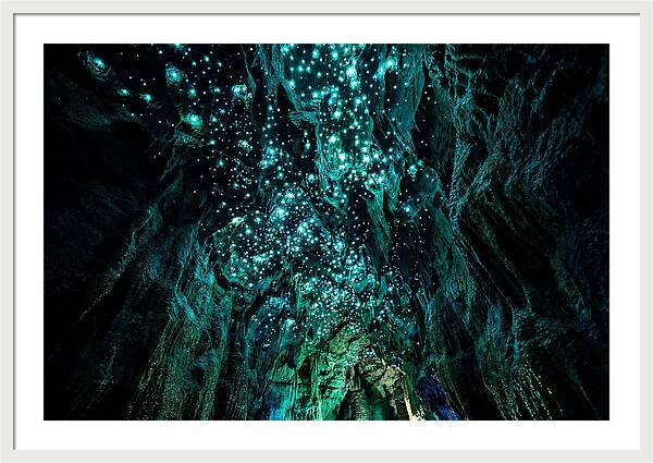 Mystical Glowworm Cave Journey