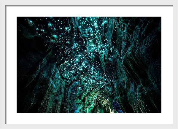 Mystical Glowworm Cave Journey