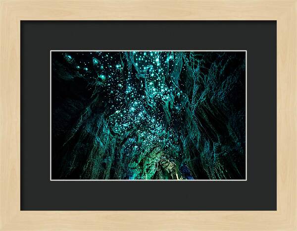 Mystical Glowworm Cave Journey