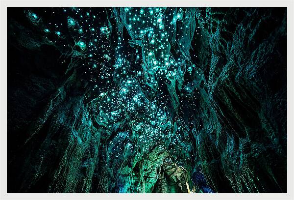Mystical Glowworm Cave Journey