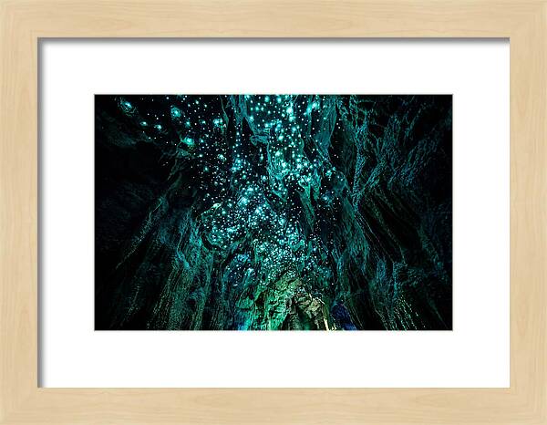Mystical Glowworm Cave Journey