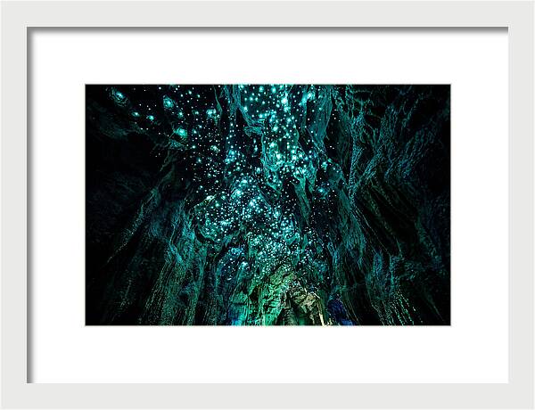 Mystical Glowworm Cave Journey