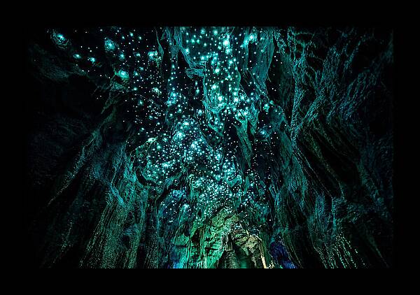 Mystical Glowworm Cave Journey