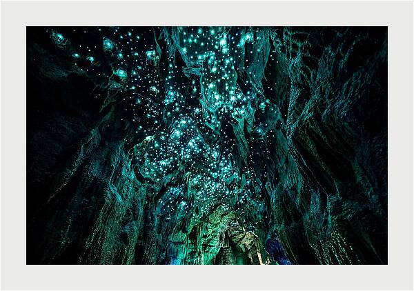 Mystical Glowworm Cave Journey