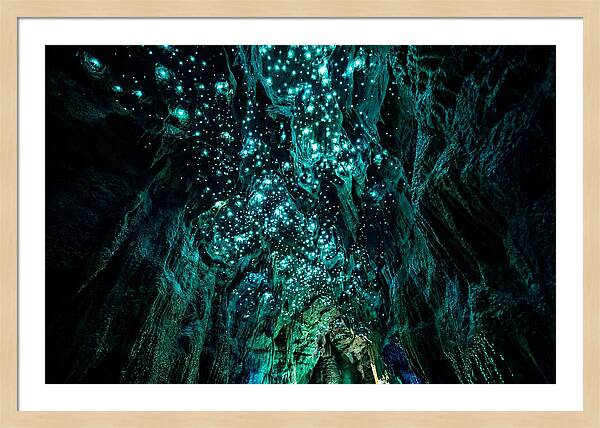 Mystical Glowworm Cave Journey
