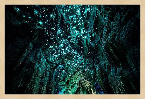 Mystical Glowworm Cave Journey