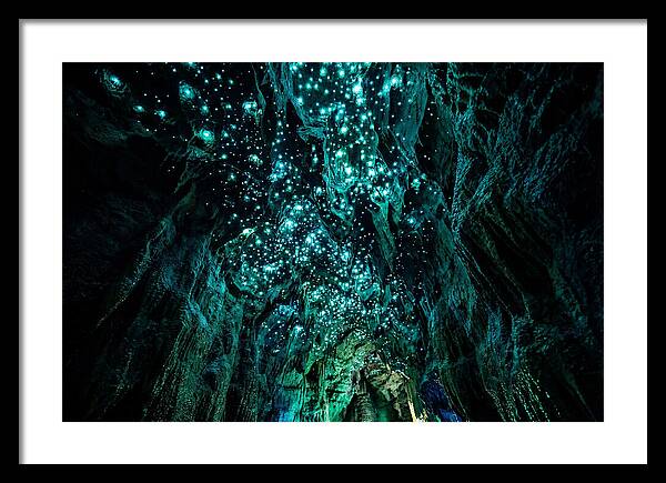 Mystical Glowworm Cave Journey