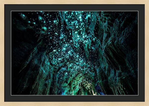 Mystical Glowworm Cave Journey