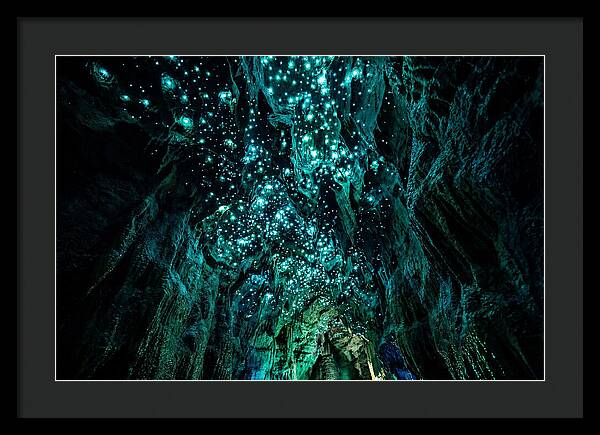 Mystical Glowworm Cave Journey