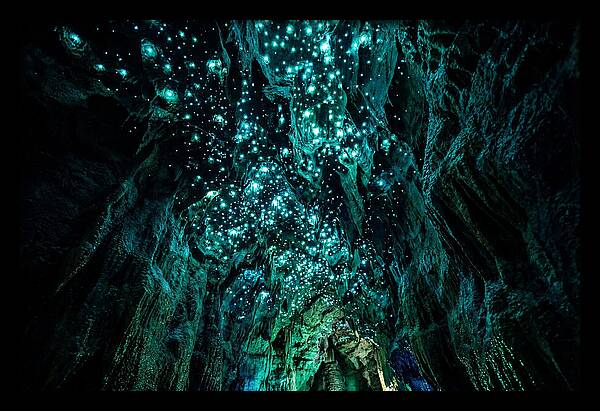 Mystical Glowworm Cave Journey