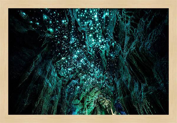Mystical Glowworm Cave Journey