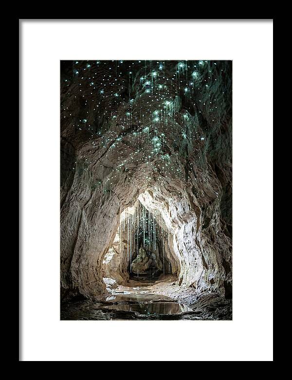Mystical Glowworm Caverns