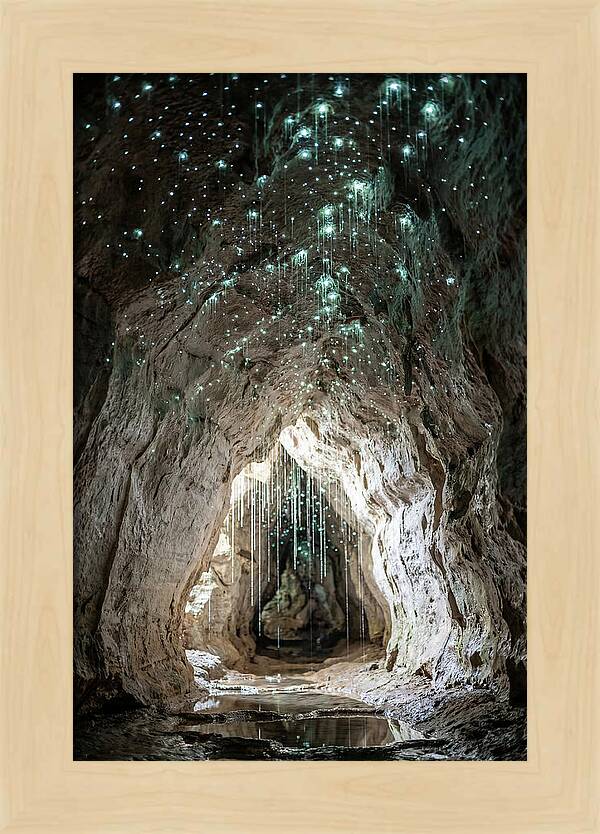 Mystical Glowworm Caverns