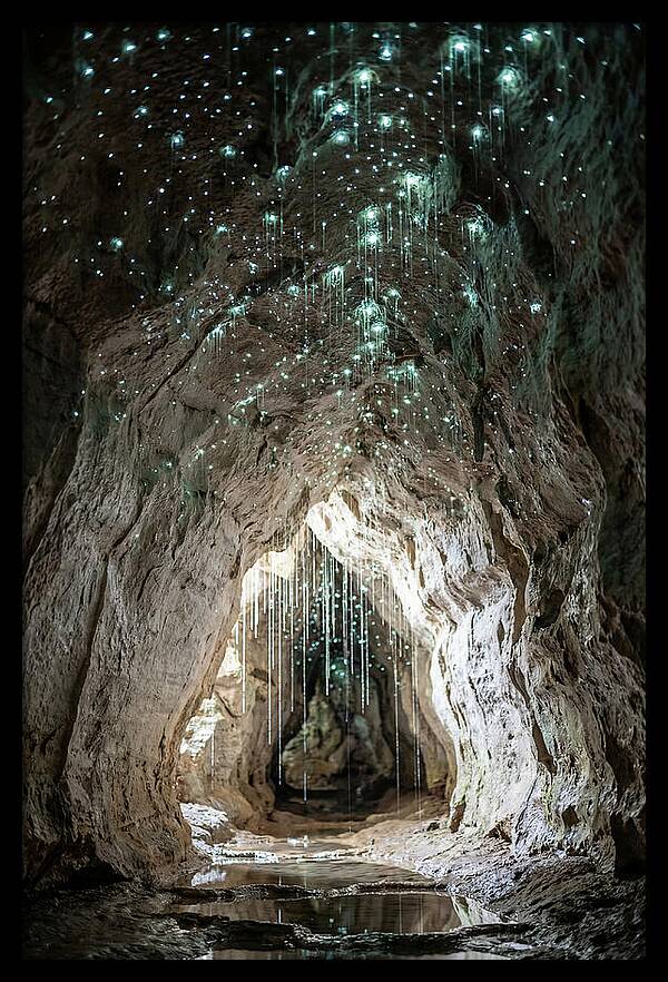 Mystical Glowworm Caverns