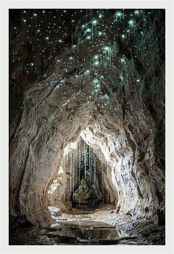 Mystical Glowworm Caverns