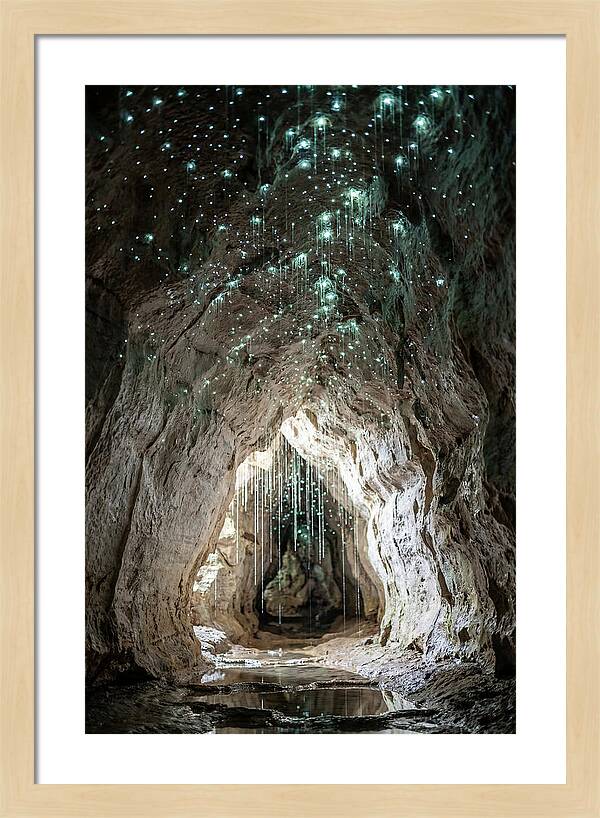 Mystical Glowworm Caverns
