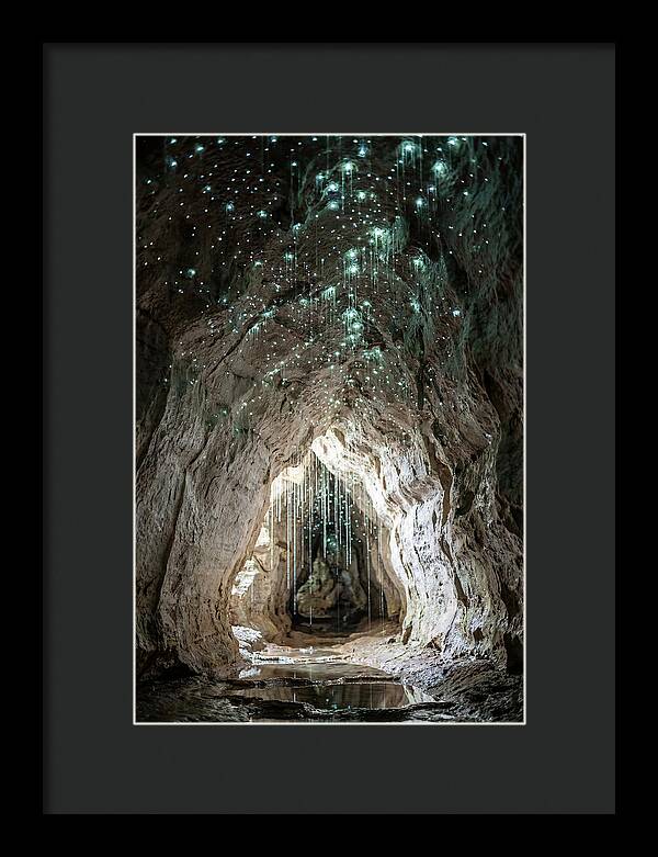 Mystical Glowworm Caverns