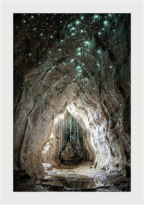 Mystical Glowworm Caverns