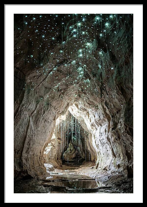 Mystical Glowworm Caverns