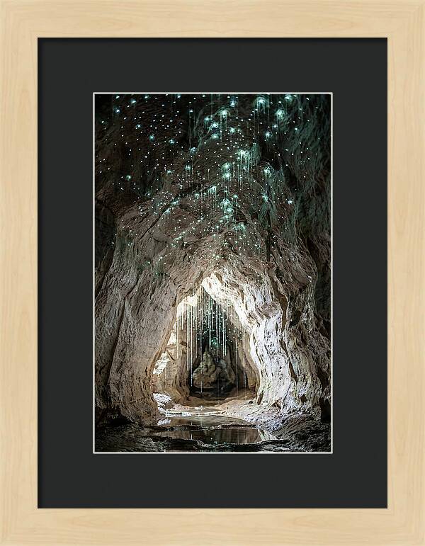 Mystical Glowworm Caverns