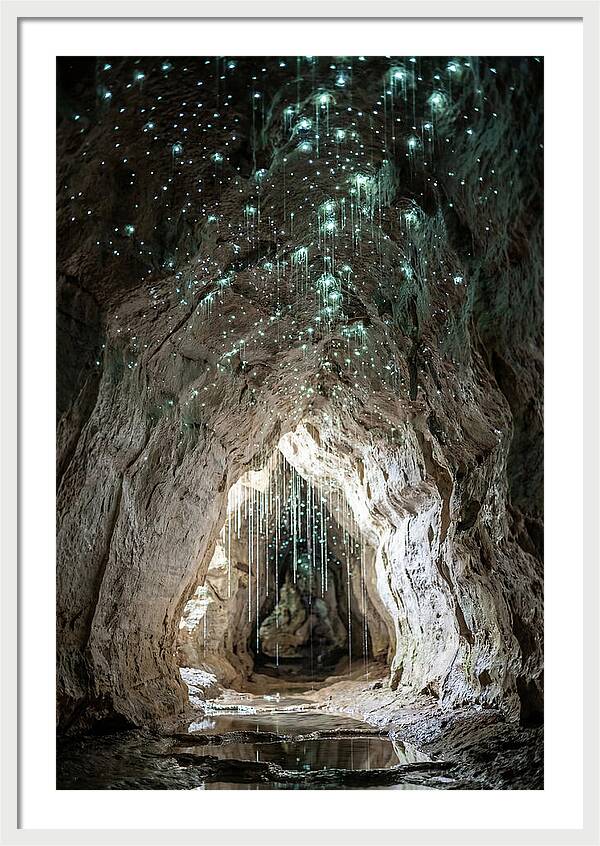 Mystical Glowworm Caverns