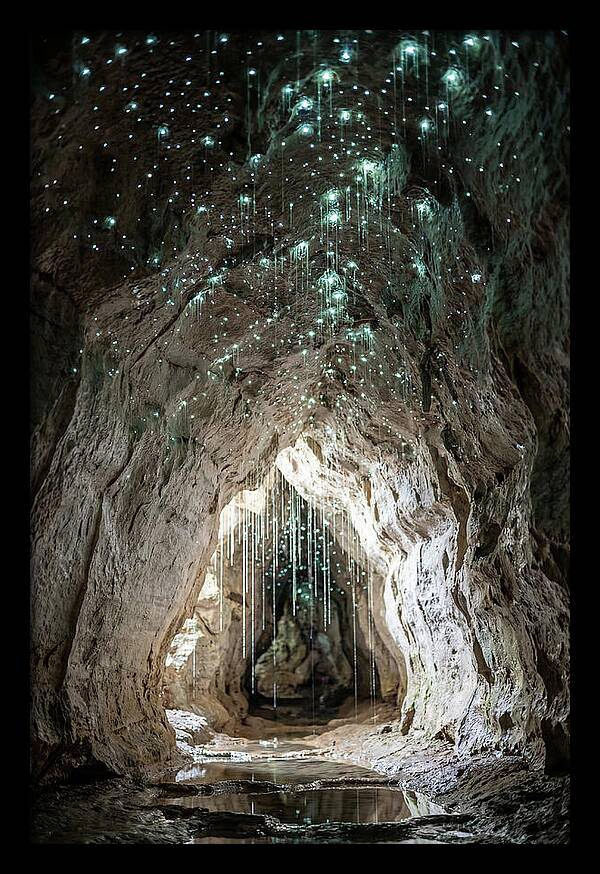 Mystical Glowworm Caverns
