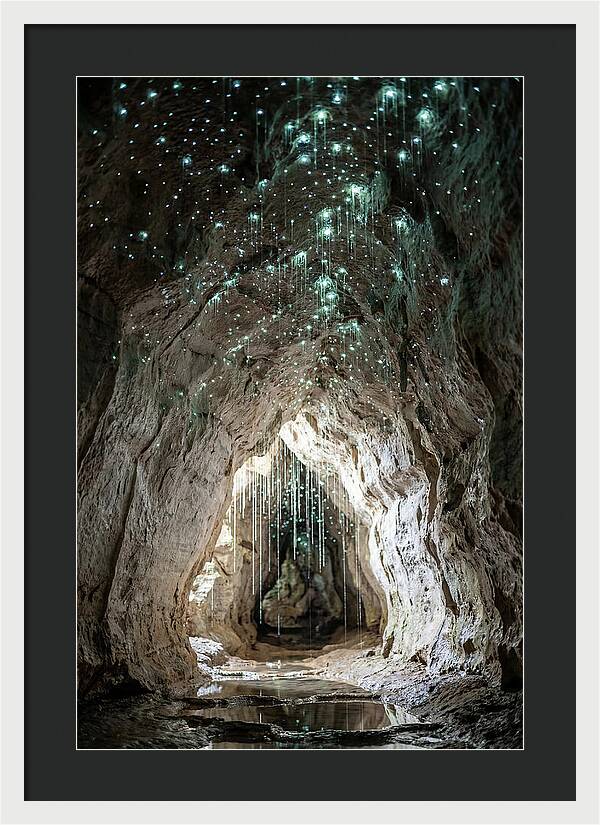 Mystical Glowworm Caverns