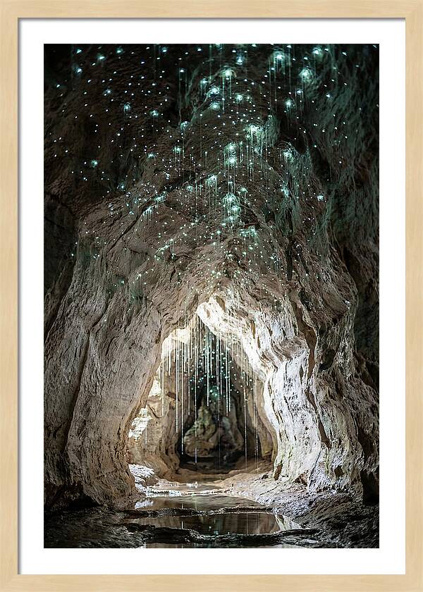 Mystical Glowworm Caverns