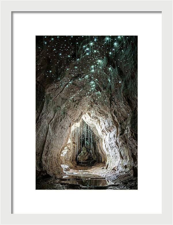 Mystical Glowworm Caverns